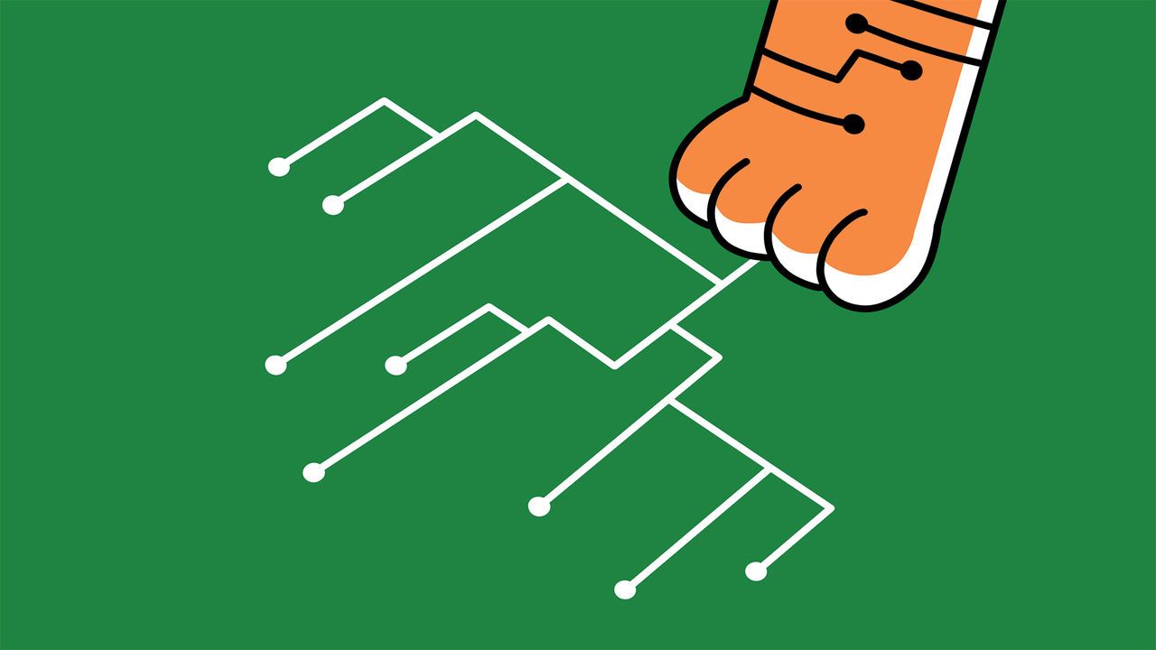 A tiger paw leaving a scratch in the shape of a circuit board