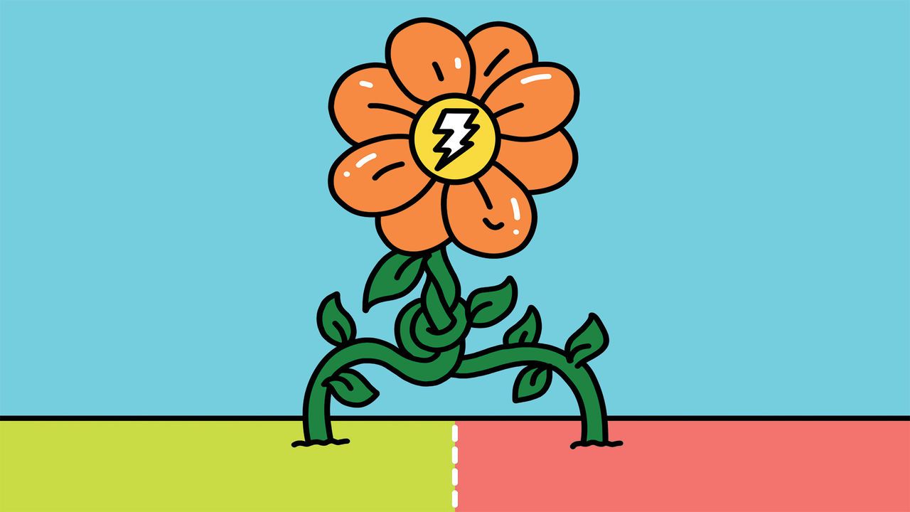 A flower with an electric symbol in the centre, with two stems tangled up