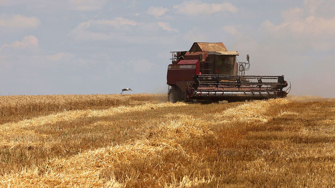 Wheat is harvested on a field near Novosofiivka village, Mykolaiv region, Ukraine