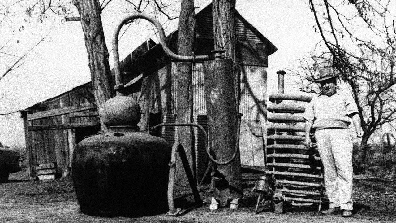 Man stands beside his illegal still at Visalia, California on Feb. 22, 1954